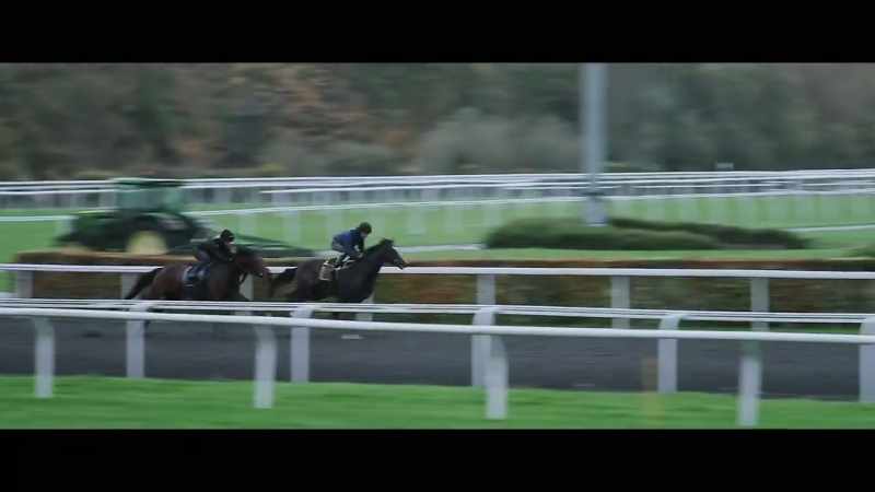 The local horses will be very quick into their stride
