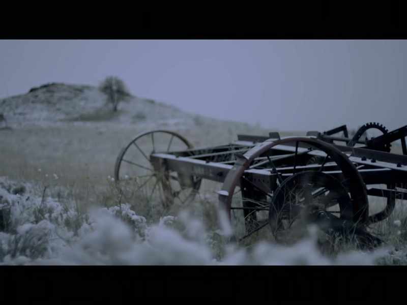 The local ranchers, they were getting really scared