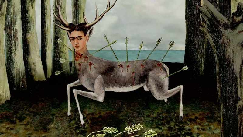 The lonely deer wandered very sad and very hurt