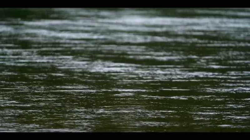 The long-term effects of what happened