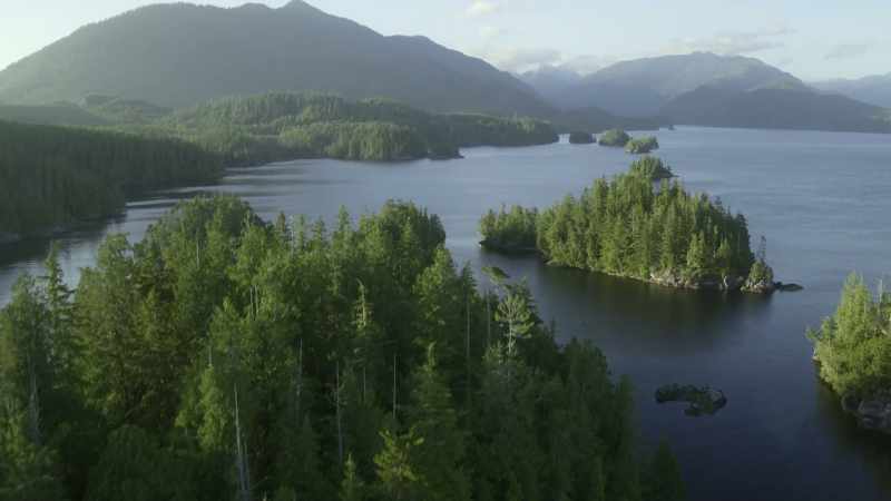 The longer an island has been isolated