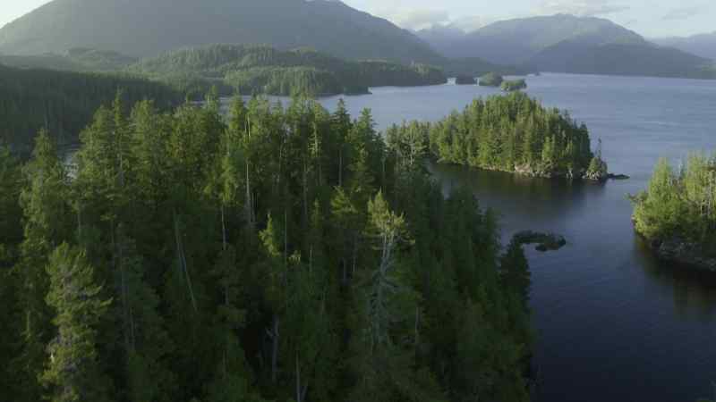 The longer an island has been isolated
