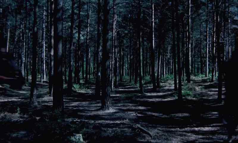 The Lord will light our path!