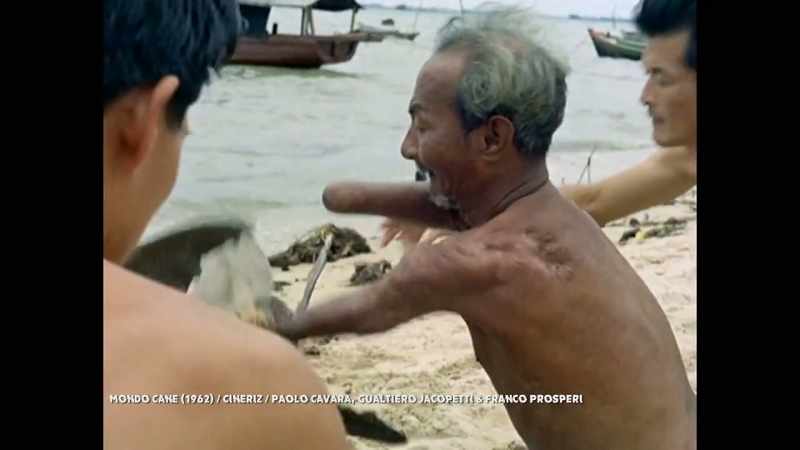 The maimed, mutilated by the voracious fish