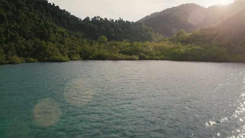 The Malay Archipelago