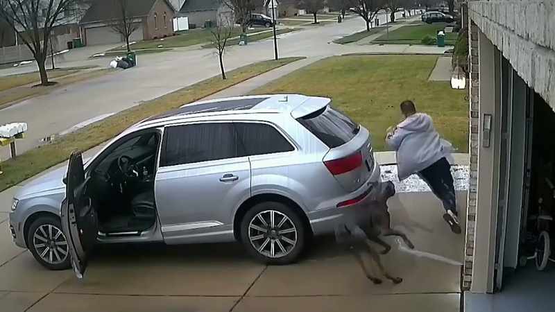 The man doesn't know the dog and takes off