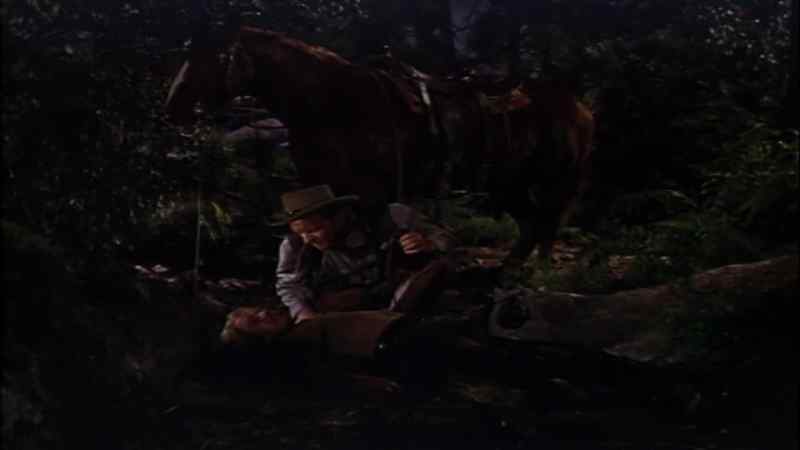 The man who was with you, where is he?