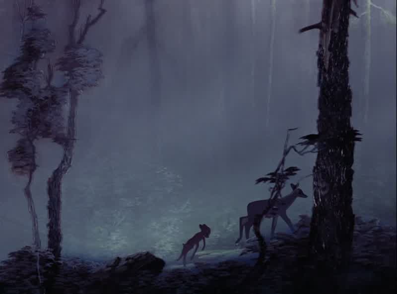 The meadow
