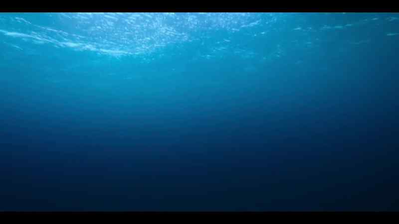 The Mediterranean