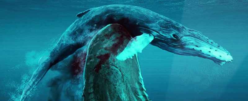 The meg could bite a whale in half