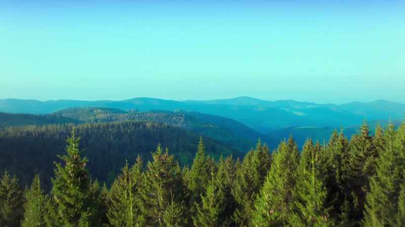 The melting snow reveals Germany's lush landscape
