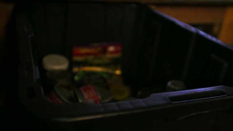The mice are just getting into our buckets and