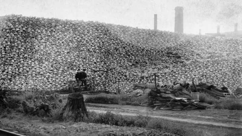 The Michigan Carbon Works became