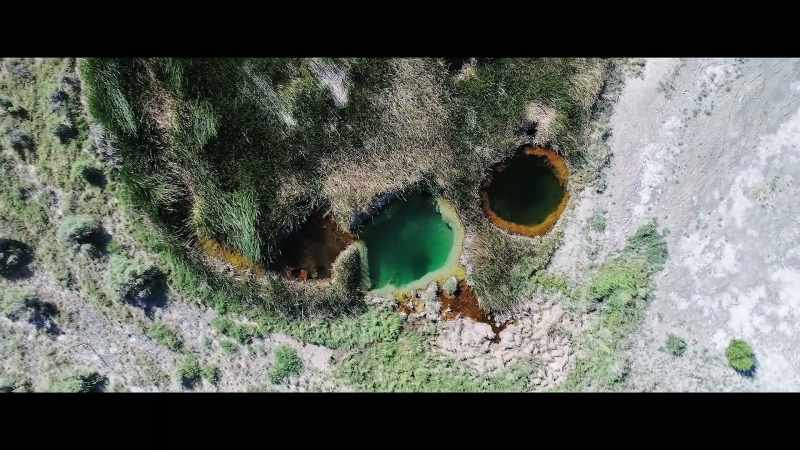 The microbes that I study in hot springs
