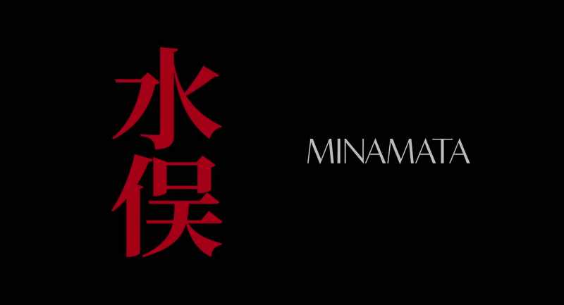 THE MINAMATA CASE