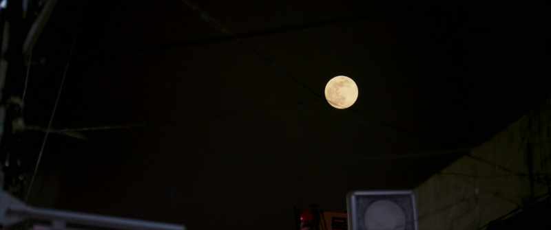 The moon is huge!