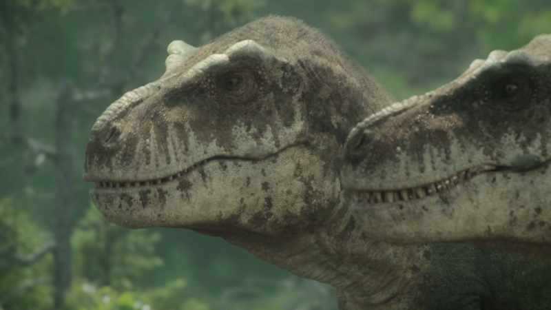 The most powerful land predators on the planet
