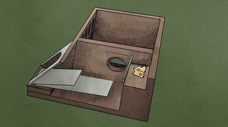 The mouse, lured in by the cheese