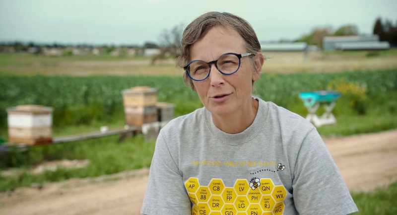 The neonicotinoids take years