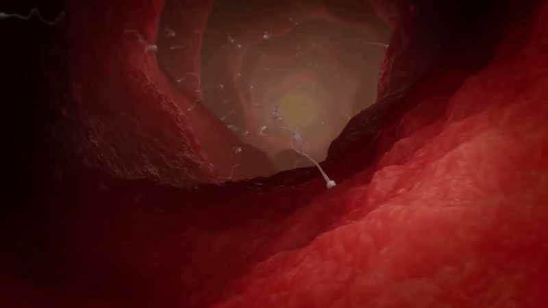 The nervous system is in charge