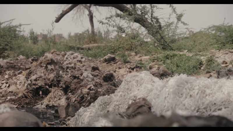 The nest is nearby. - Too close
