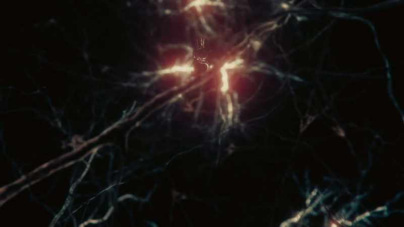 The neurons and their parts, axons, dendrites