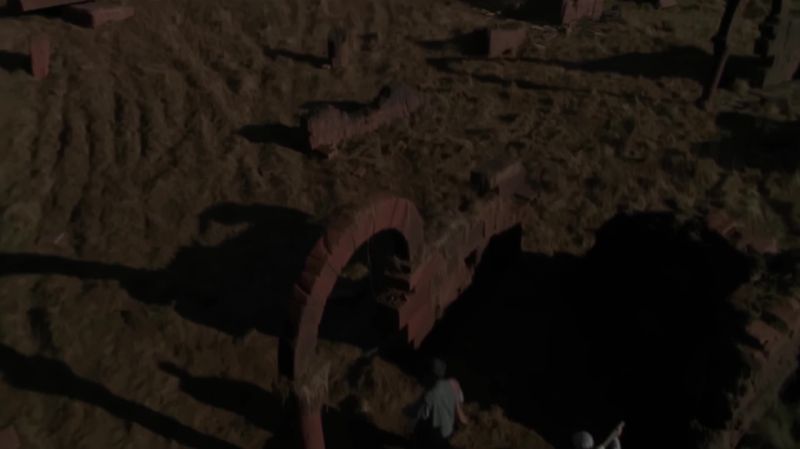 The new animal took a look around