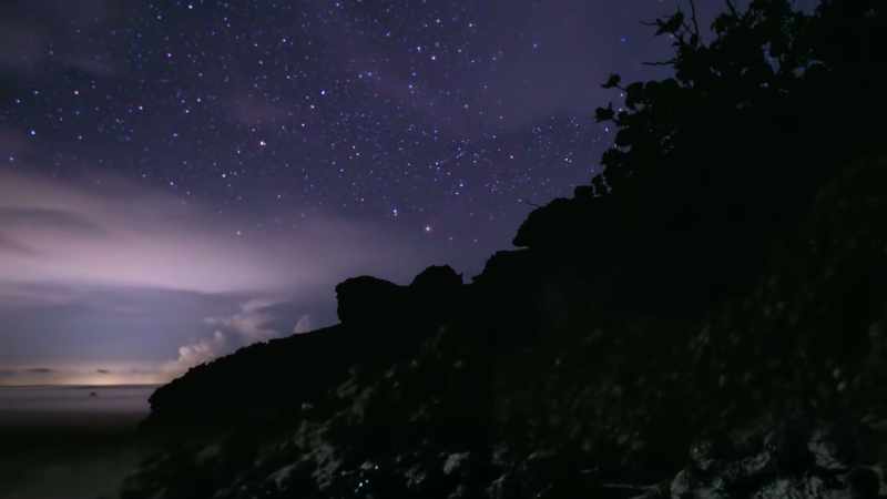 The new moon triggers their mass migration