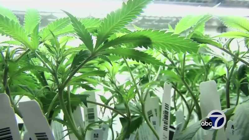 The new rules regarding labeling, safety packaging
