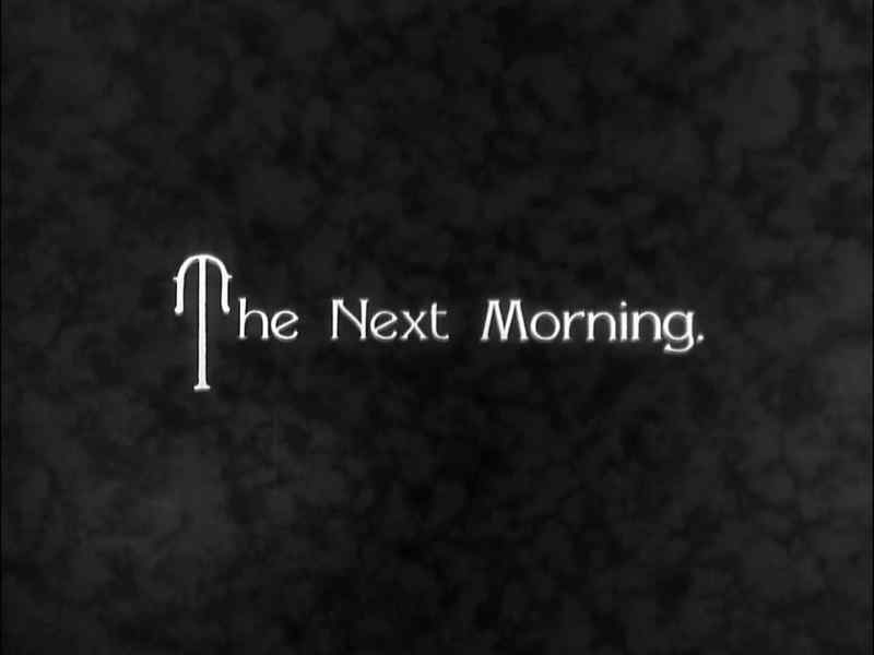 The Next Morning