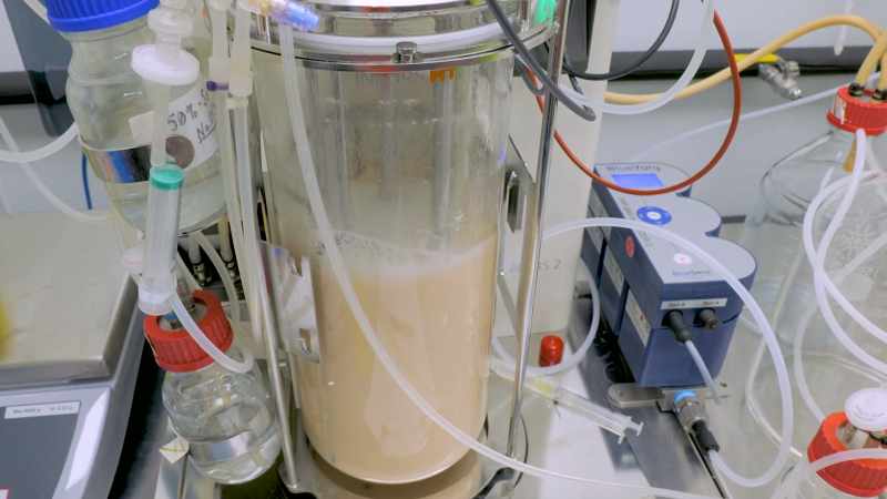 The nice peach milkshake looking stuff
