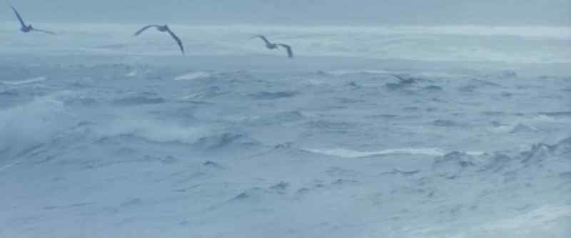 The north swell was cold and lonely