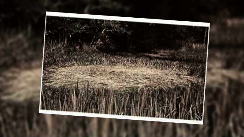 The object reported as hovering over an open field
