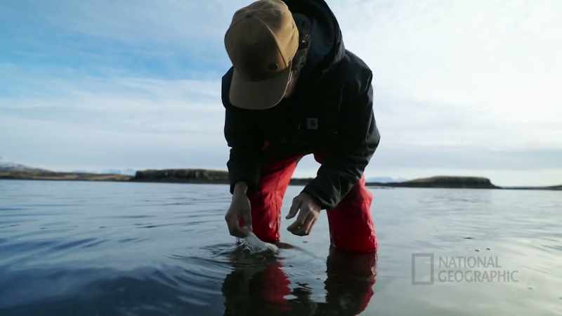 The ocean is not producing what it used to
