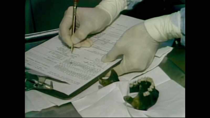 The odontologist, I think it is, who was there for the trial