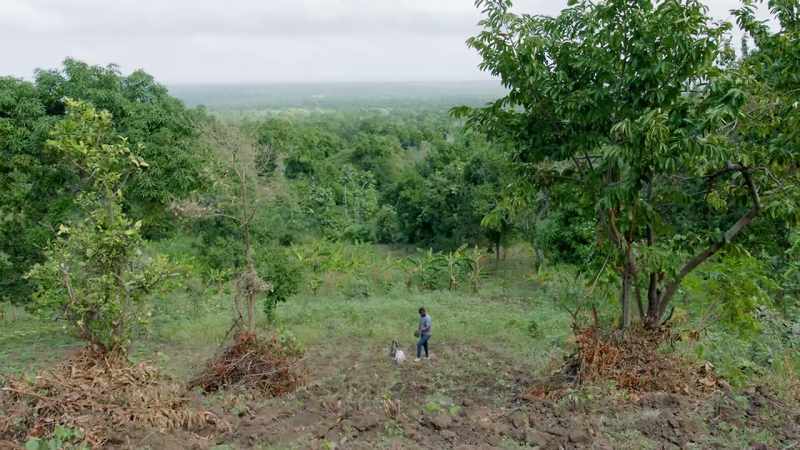The older generation did not use chemical fertilizer