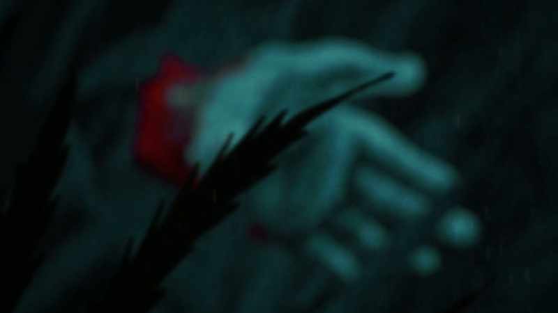 The one other detail that she seemed certain on