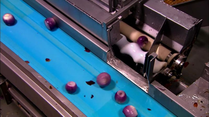 THE ONIONS THEN ROLL OFF THE PEELER