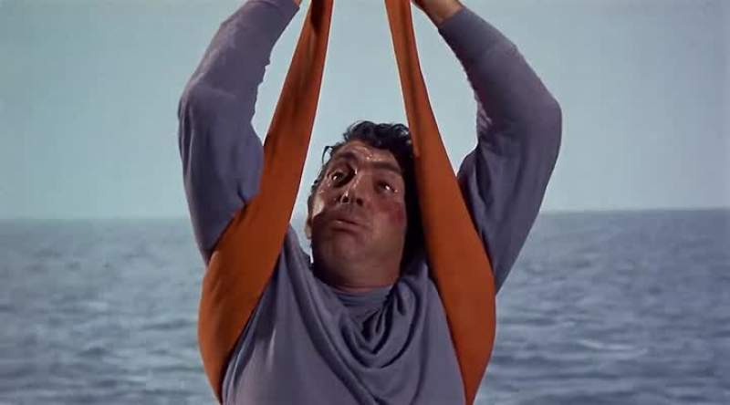The only way to fly