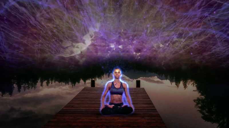 The organs make up super organisms like humans, stars