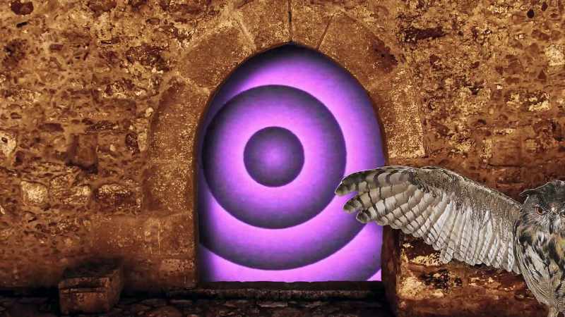 The owl is a guardian at the gateway