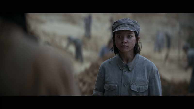 The Party sent me to Shaanxi to work the wheat fields