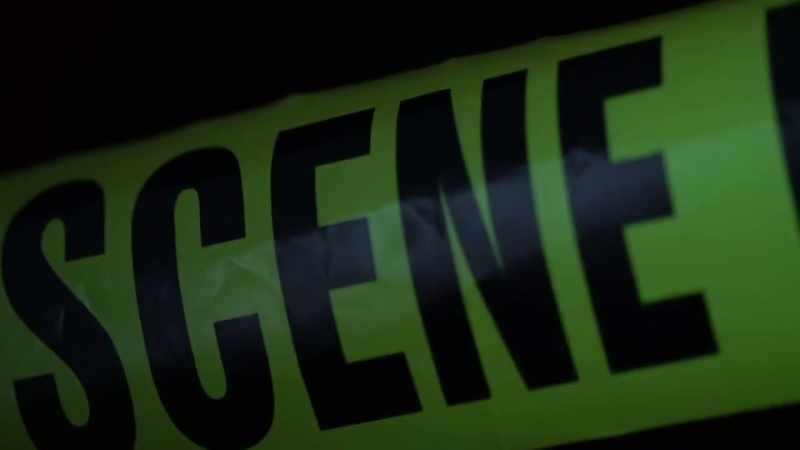 The pathologists estimated death had occurred