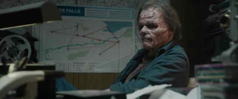 The person in the wolf mask