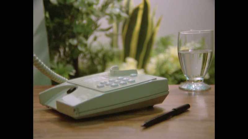 The phone rang. -[ringing]