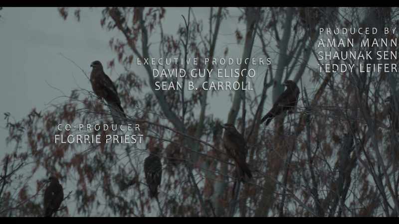 The picture stops. Can you hear my voice?