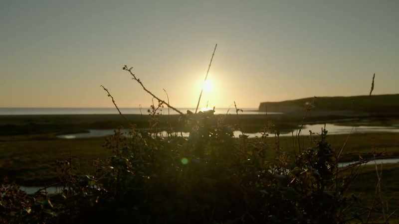 The pillboxes and the guns they housed