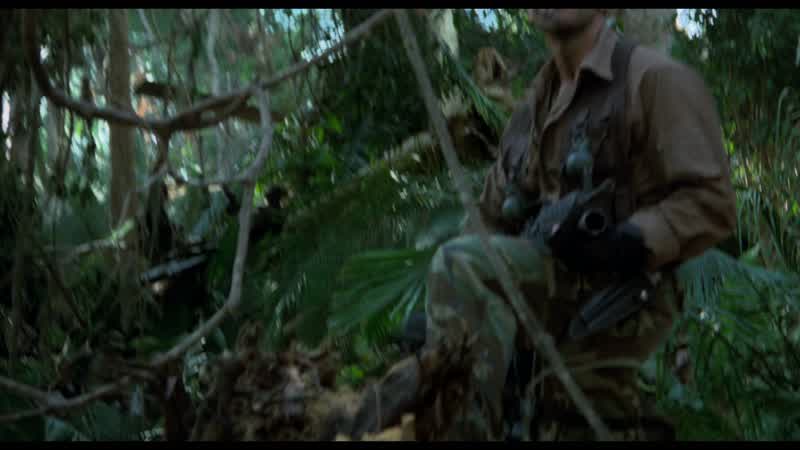 The pilots have been shot in the head