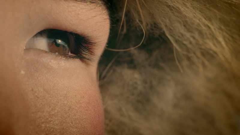 The planet shaped our senses, too
