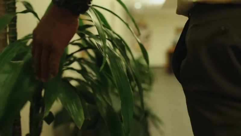 The plants were alive, so alive
